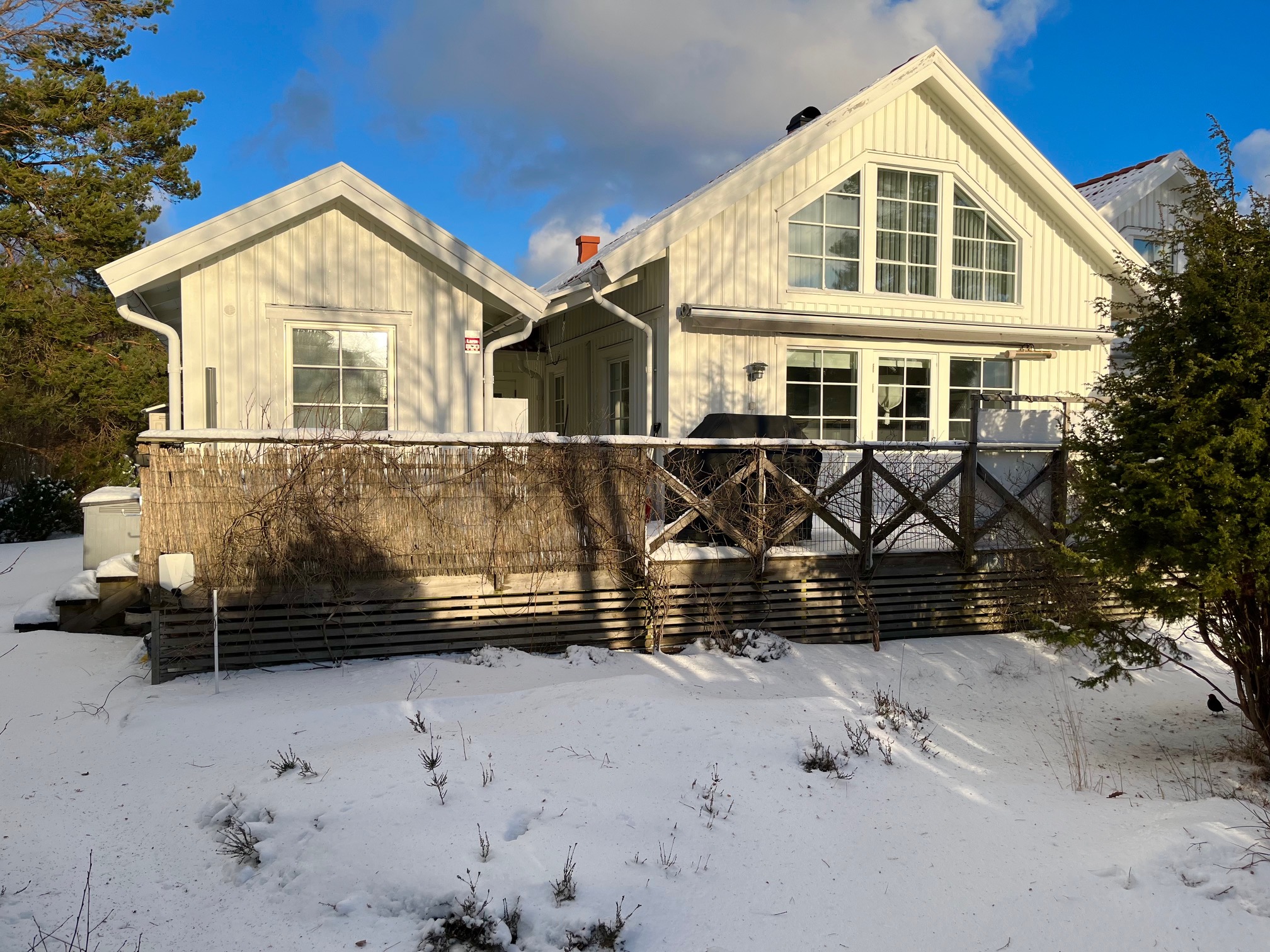 Penguin view on a cold winter day