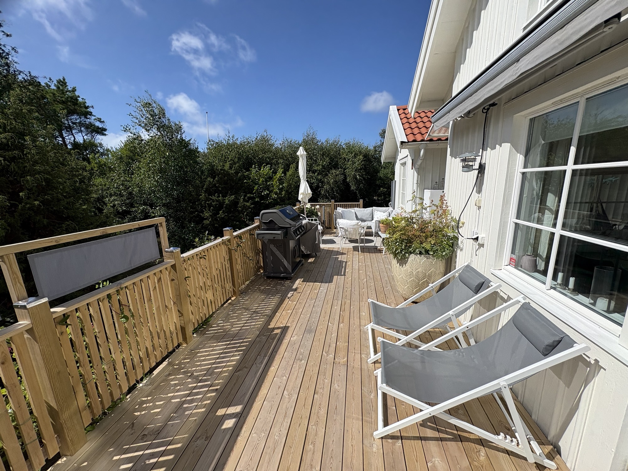 Sparrow view of the terrace (renovated 2026)