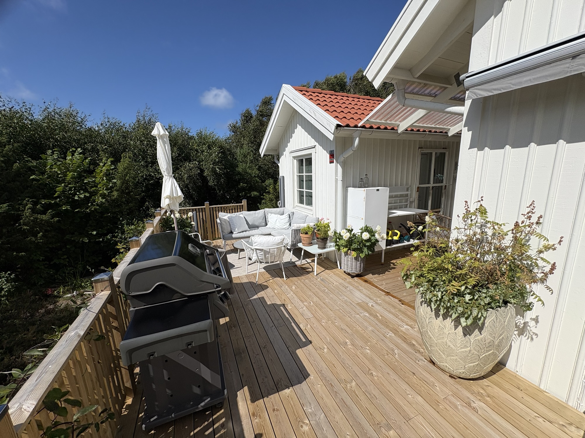Sparrow view of the terrace (renovated 2026)